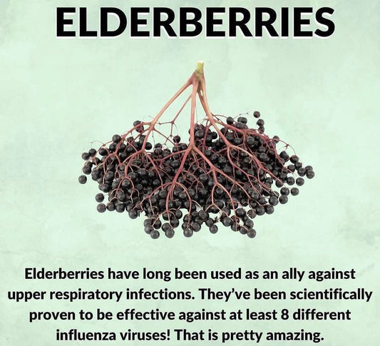 Elderberry Syrup